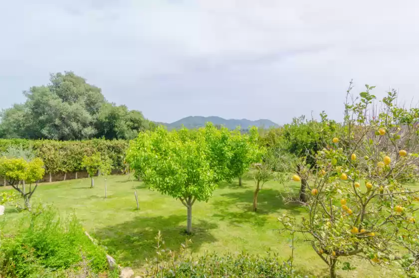 Alquiler vacacional en Es rafal de baix, Son Servera