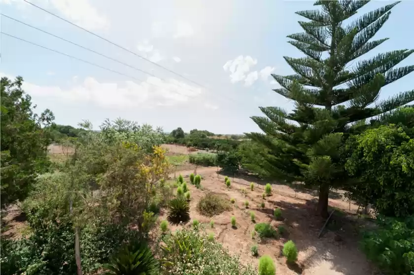 Ferienhaus auf Torrent vell, Sa Pobla