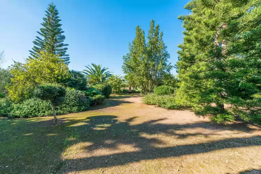 Ferienhaus auf La finquita, Sant Joan