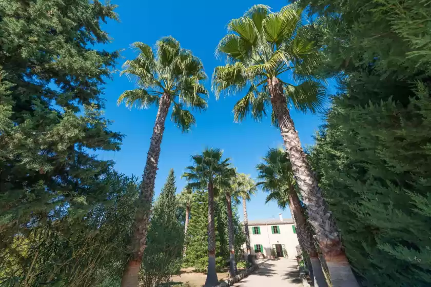 Ferienhaus auf La finquita, Sant Joan