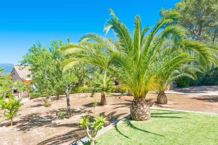 Ferienhaus auf Ca na barbara, Santa María del Camí