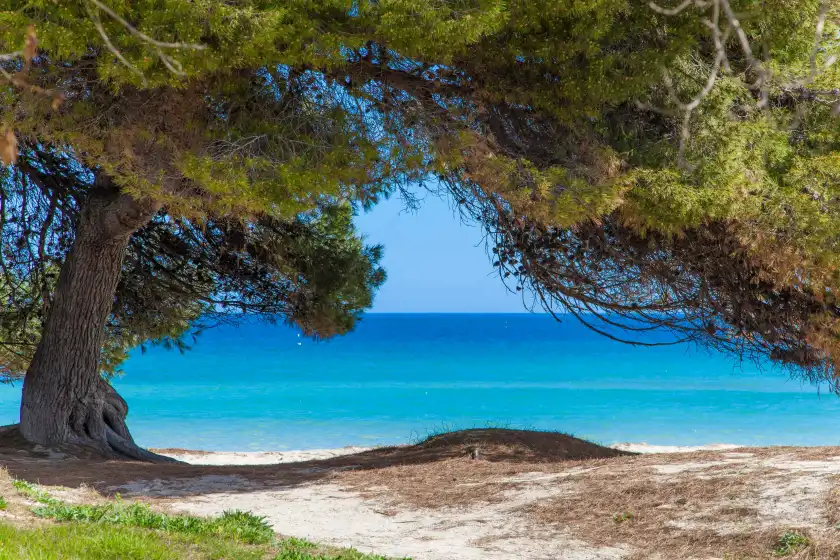 Ferienhaus auf Didalera, Platja de Muro