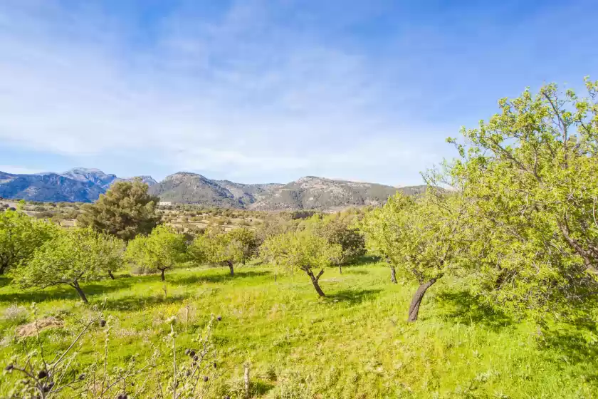 Holiday rentals in Sotio, Campanet