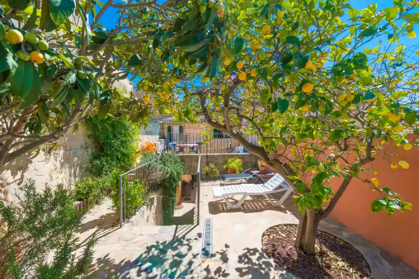 Holiday rentals in Sotio, Campanet