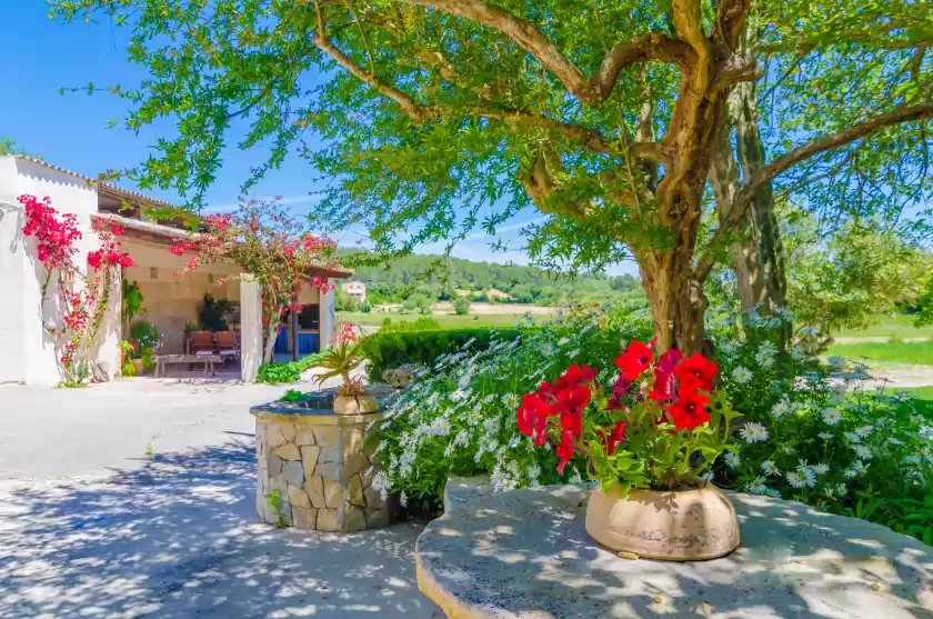 Holiday rentals in Short dhortella, Sant Joan