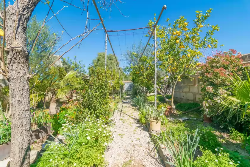 Ferienhaus auf Construcciones balaguer, Mancor de la Vall