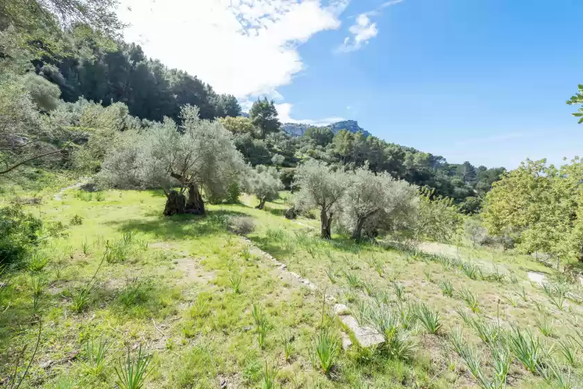 Ferienhaus auf Ermita de dalt , Estellencs