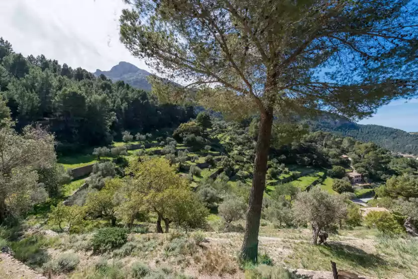Ferienhaus auf Ermita de dalt , Estellencs