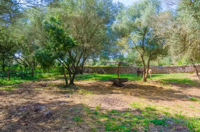 Ferienhaus auf Sa bassa son artigues, Porreres