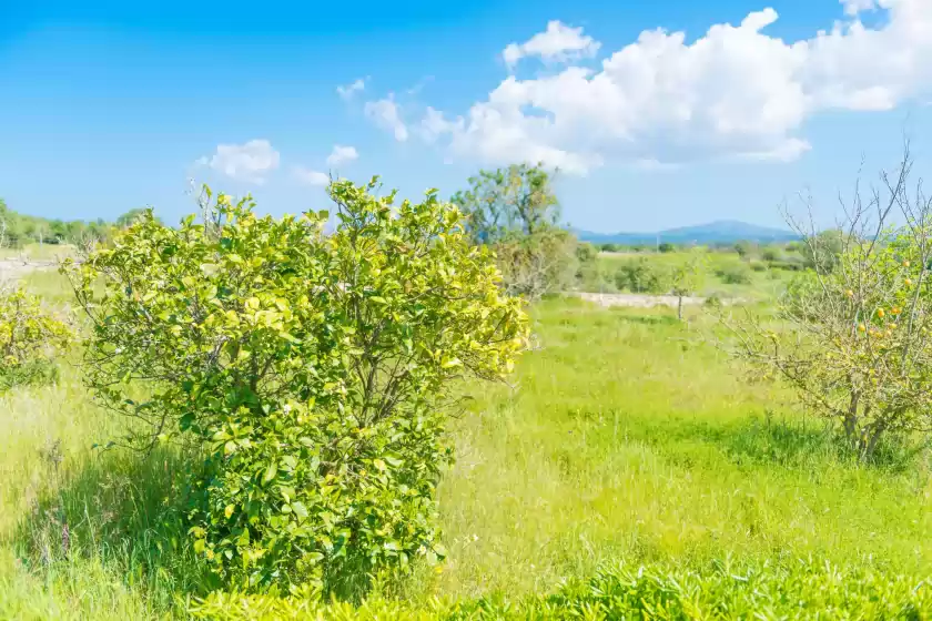 Ferienhaus auf Ca na cladera, Maria de la Salut
