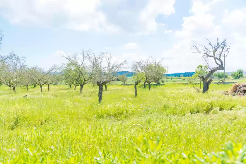 Ferienhaus auf Ca na cladera, Maria de la Salut