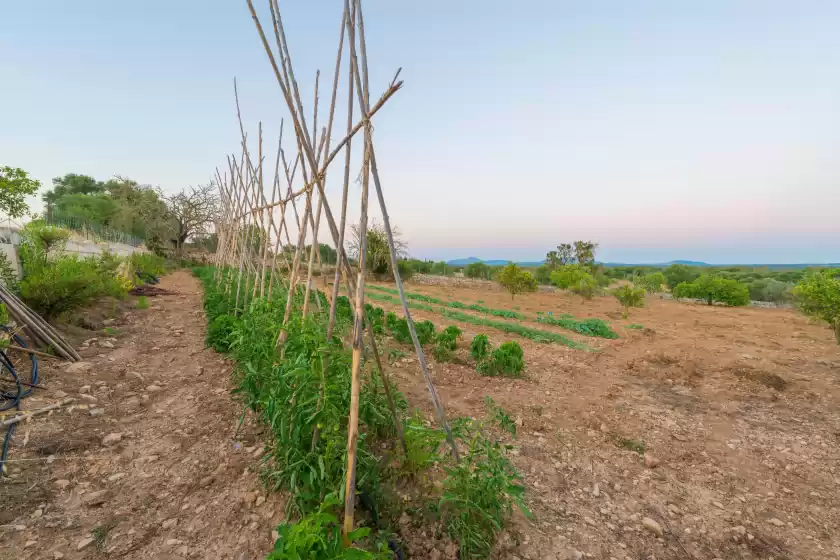 Ferienhaus auf Ca na cladera, Maria de la Salut