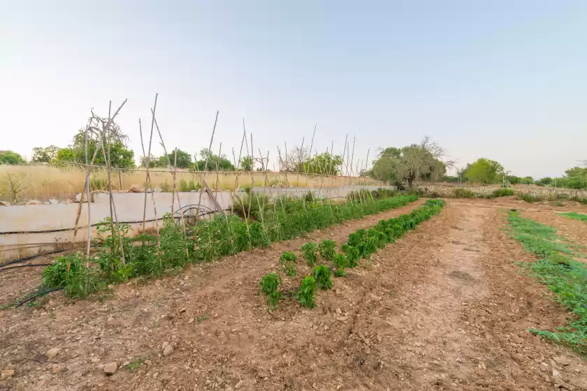 Ferienhaus auf Ca na cladera, Maria de la Salut