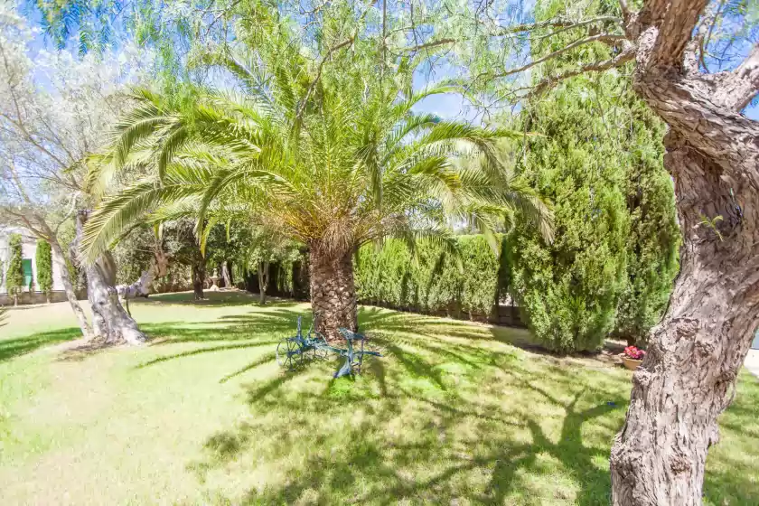 Ferienhaus auf Villa aire, Sa Pobla