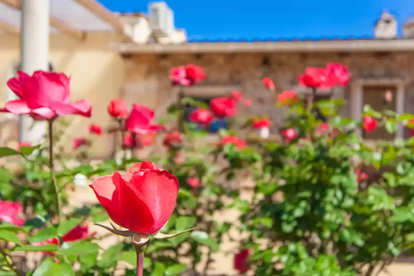 Ferienhaus auf Bella auba, Muro