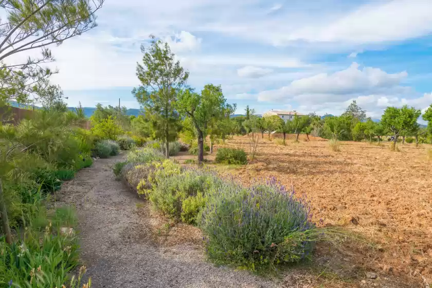 Alquiler vacacional en Cas pilot, Santa María del Camí