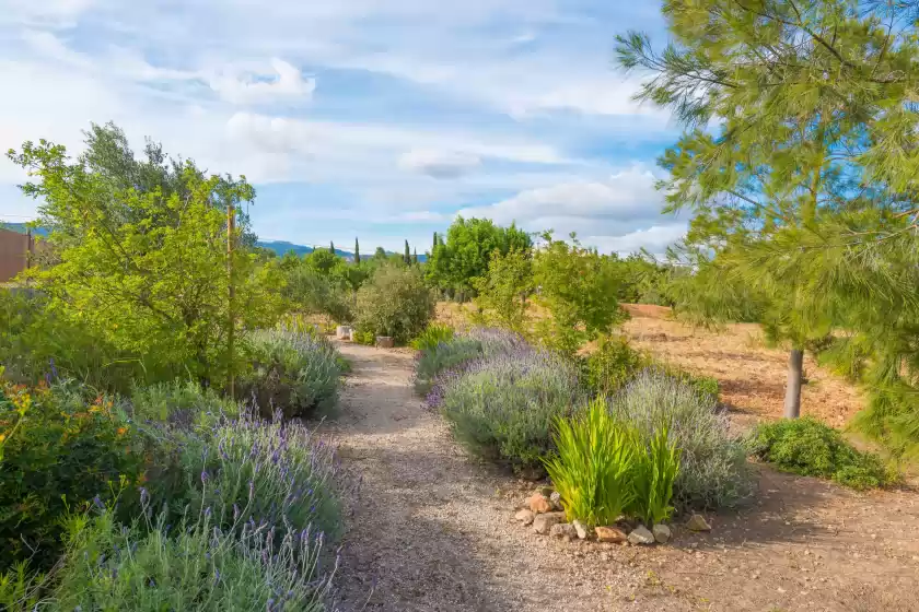 Holiday rentals in Cas pilot, Santa María del Camí