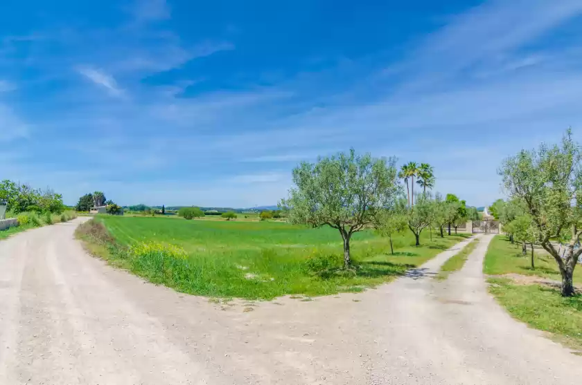 Alquiler vacacional en Son vanrell, Montuïri