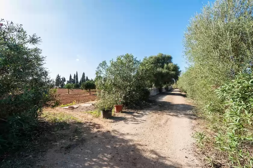 Ferienhaus auf Son xorc, Campos