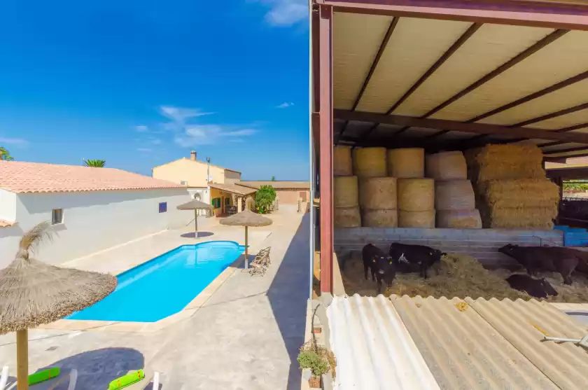 Ferienhaus auf Sa caseta de ses vaques.son covas (sa vaqueria 2)