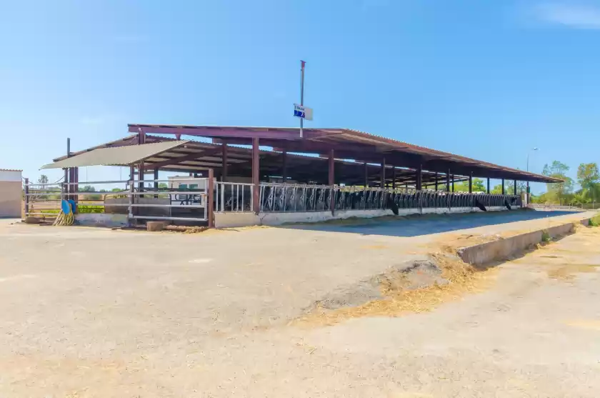 Ferienhaus auf Sa caseta de ses vaques.son covas (sa vaqueria 2), Campos