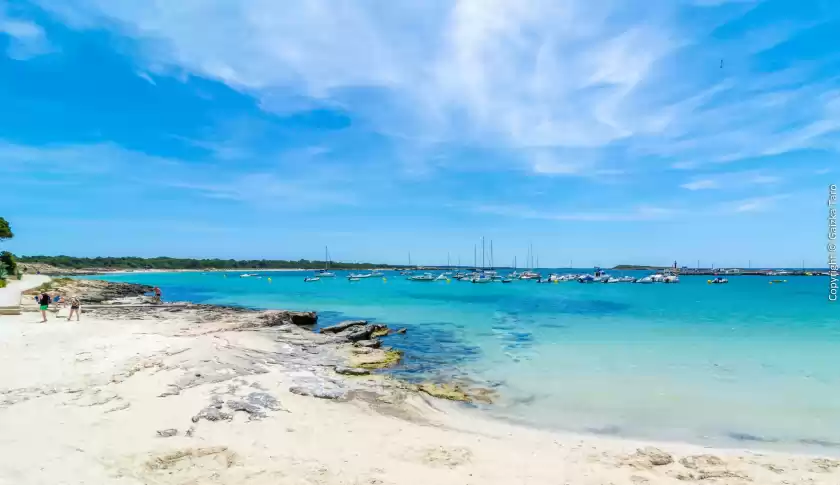 Ferienhaus auf Sa caseta de ses vaques.son covas (sa vaqueria 2), Campos