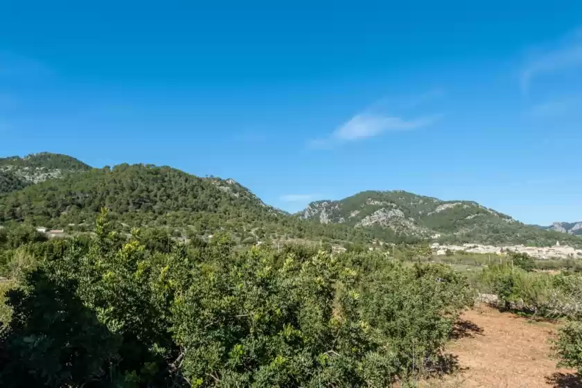 Holiday rentals in Can rasca, Caimari
