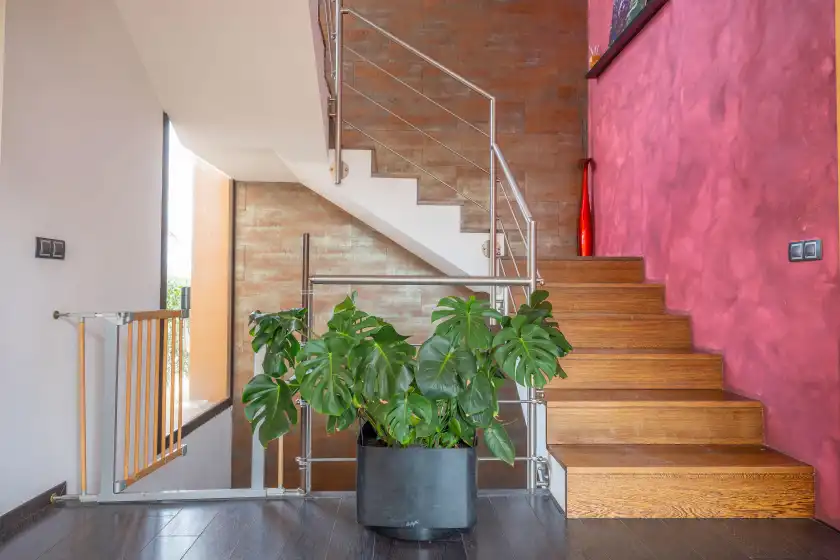 Alquiler vacacional en Son vigili, Campos