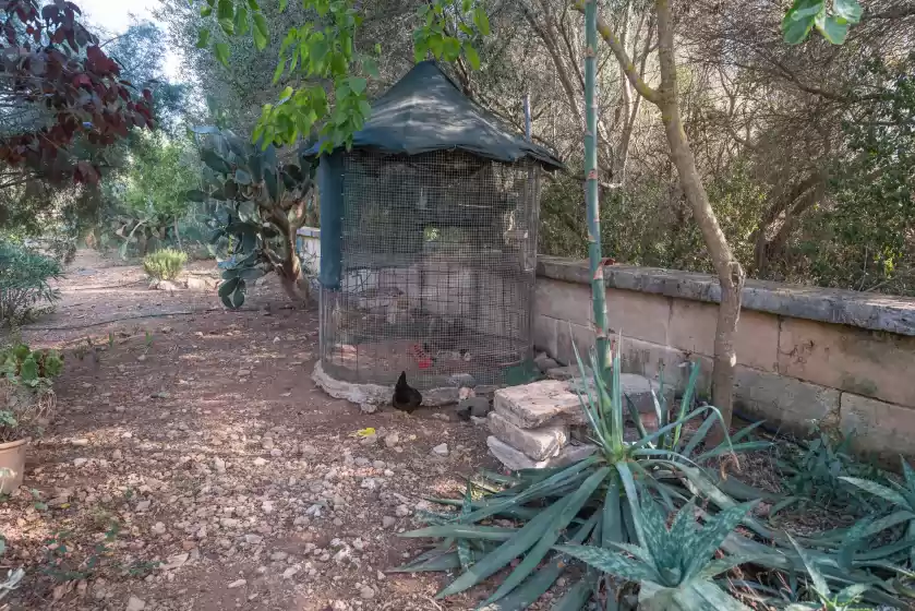 Alquiler vacacional en Sa marjal, Muro