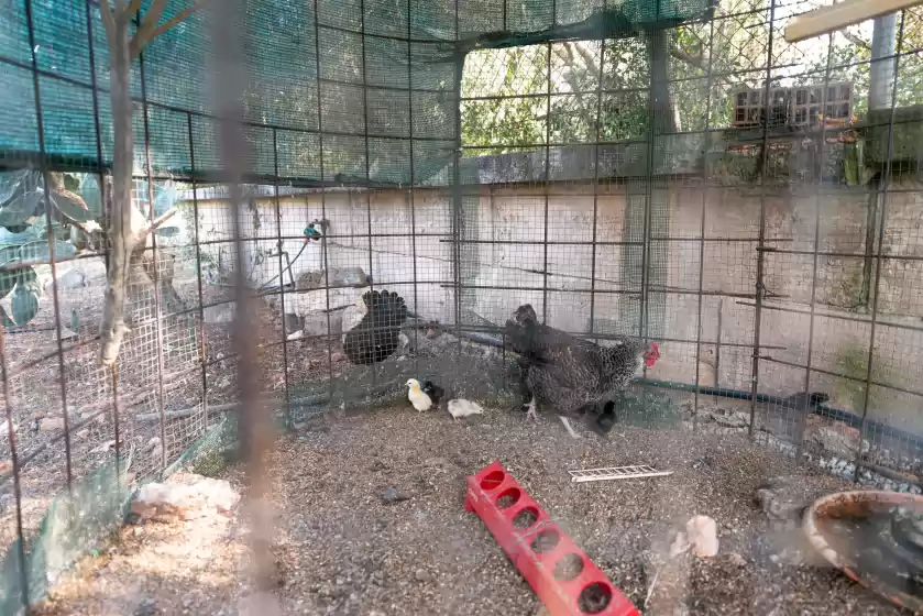 Alquiler vacacional en Sa marjal, Muro