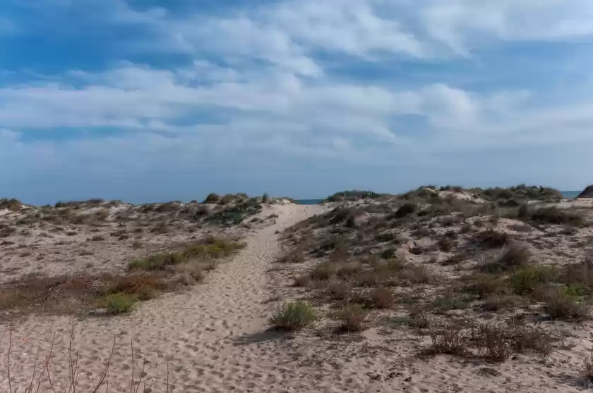 Holiday rentals in Rufina, Oliva