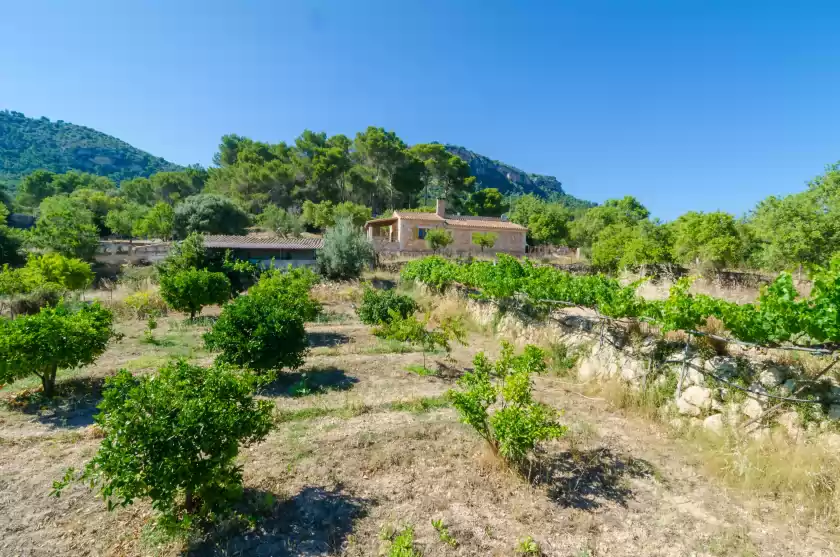 Location de vacances à S'aresta den rumbet, Llucmajor