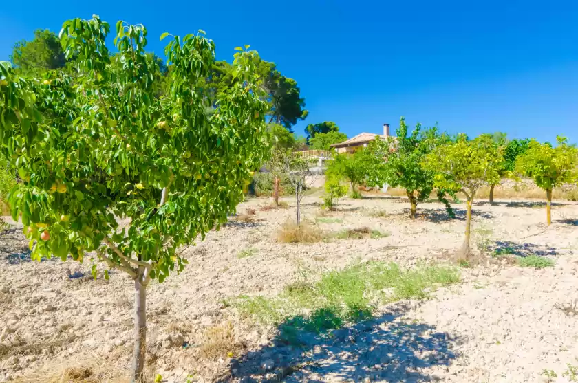 Location de vacances à S'aresta den rumbet, Llucmajor