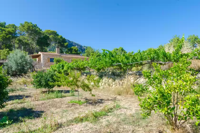 Location de vacances à S'aresta den rumbet, Llucmajor