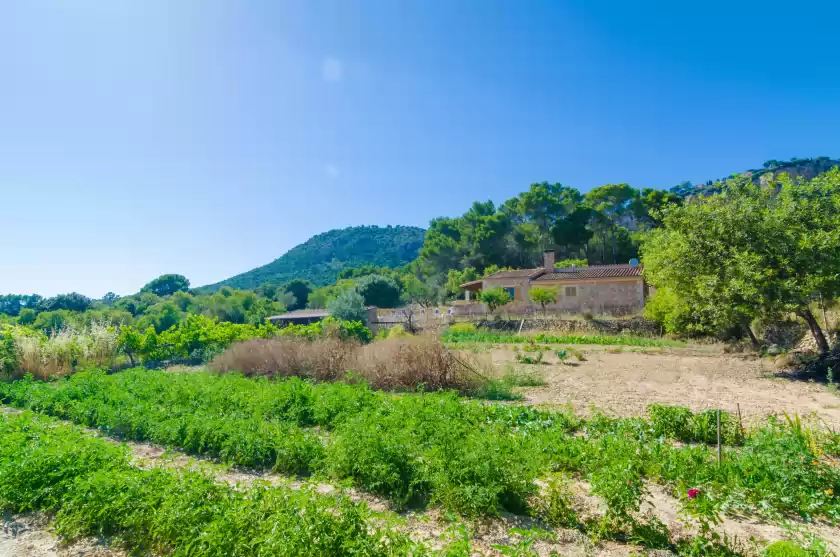 Location de vacances à S'aresta den rumbet, Llucmajor