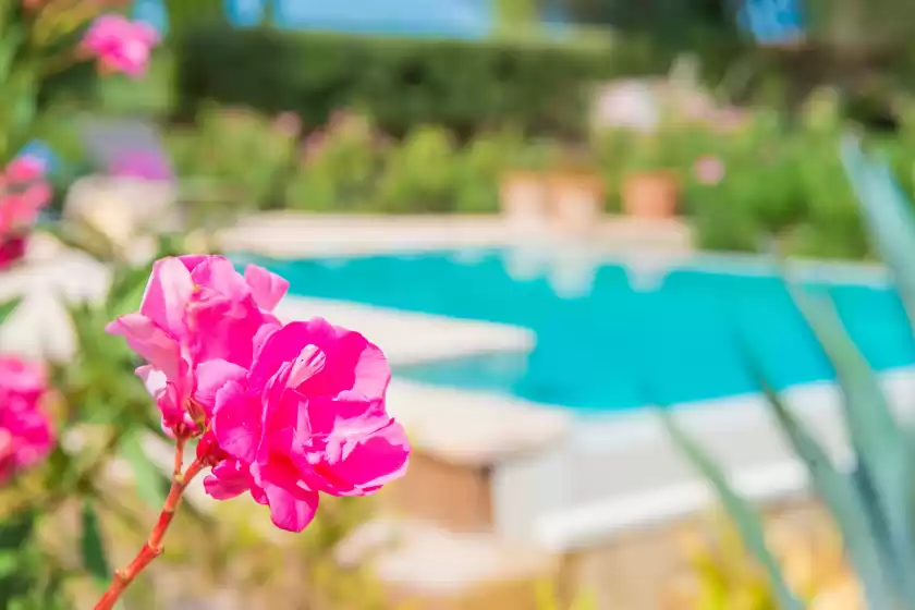 Holiday rentals in Can pina - eco cascada -, Costitx