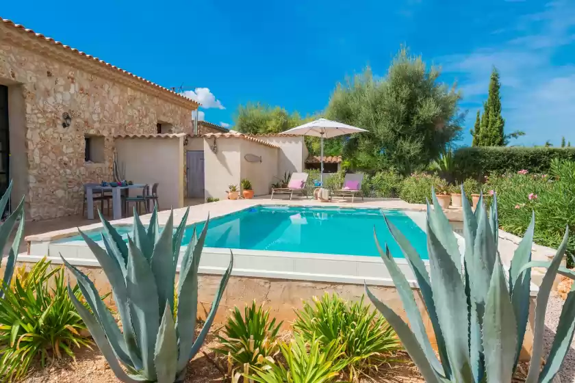 Holiday rentals in Can pina - eco cascada -