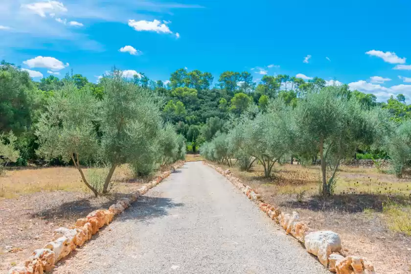 Holiday rentals in Can pina - eco cascada -, Costitx