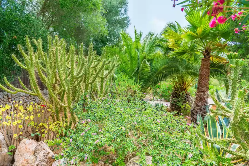 Location de vacances à Can pina - eco pina -, Costitx