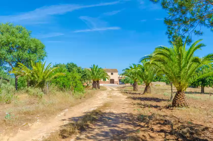 Holiday rentals in Son cifre (son pruna), Manacor