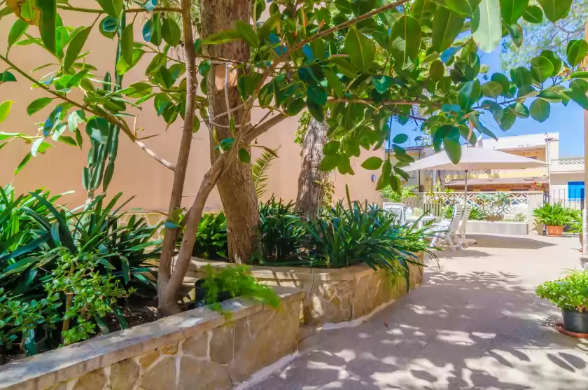 Holiday rentals in Can pedro ros, s'Illot-Cala Morlanda