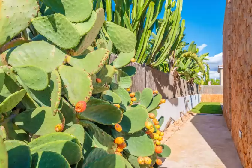 Holiday rentals in Can bosquerró, sa Ràpita