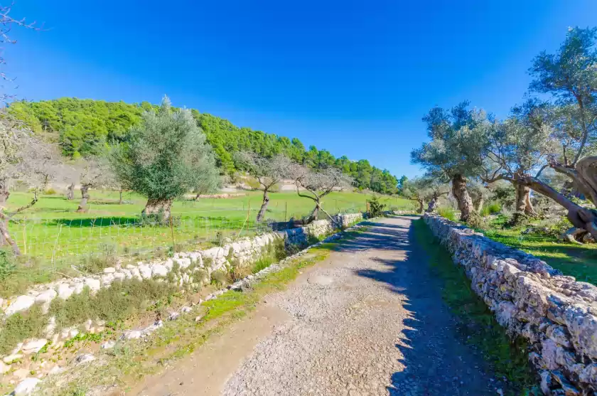 Alquiler vacacional en Sobreamunt, Esporles