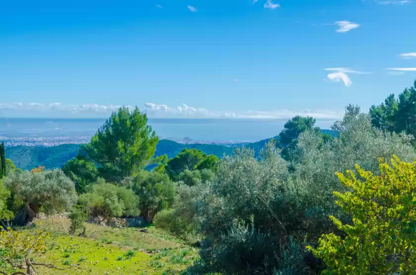 Ferienunterkünfte in Sobreamunt, Esporles