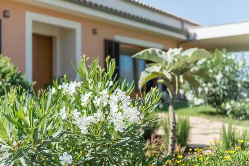 Ferienhaus auf Can punset, Santa Margalida