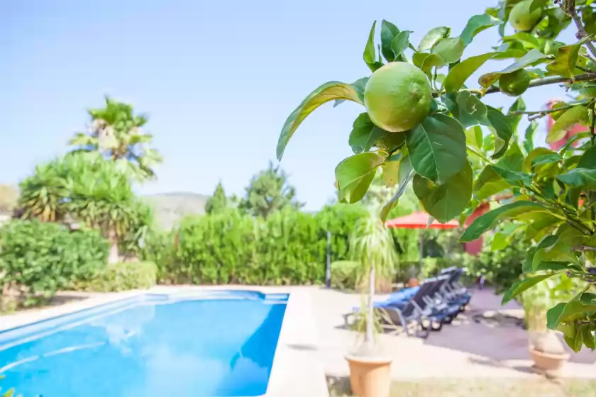 Ferienhaus auf Cas rossinyol, Lloseta