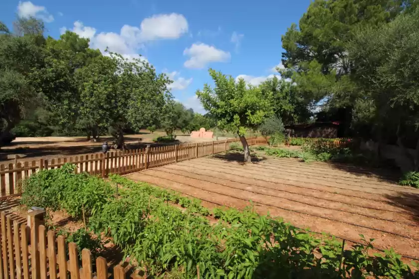 Alquiler vacacional en Son french, Algaida