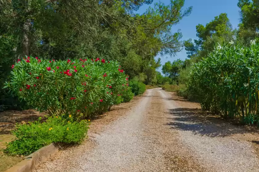 Alquiler vacacional en Son french, Algaida
