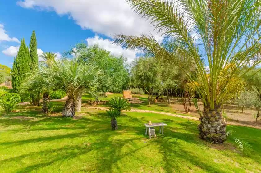 Alquiler vacacional en Can bou, ses Salines