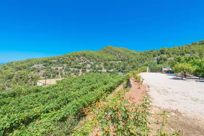 Ferienhaus auf Banyalbufarina, Banyalbufar